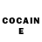 COCAIN Fish Scale Laima Paceviciene