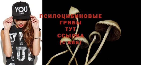 прущая мука Абинск