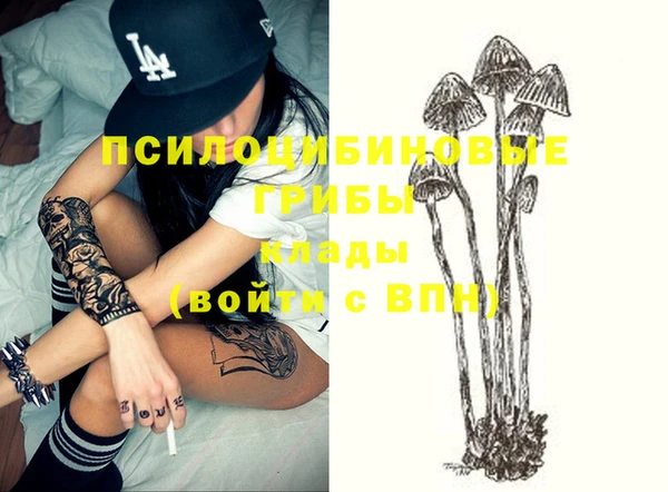 круглые Абаза