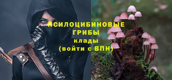 трава Абдулино