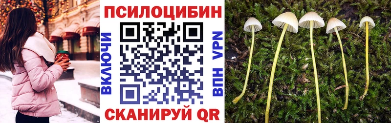Псилоцибиновые грибы GOLDEN TEACHER  что такое наркотик  KRAKEN ссылка  Ужур 