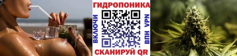 МАРИХУАНА OG Kush  как найти закладки  Ужур 